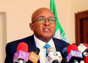 حزب “الوطني” المعارض يتهم ولاية بونتلاند بالتدخل المباشر في القتال الدائر في مدينة لاسعانود