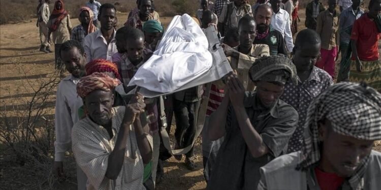 بما فيها منطقة القرن الإفريقي…الأمم المتحدة تعلن أن وباء الكوليرا “مقلق” في 11 دولة إفريقية