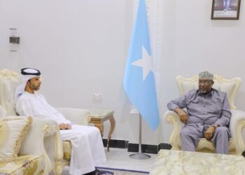 رئيس مجلس الشعب الصومالي يستقبل سفير الإمارات في مقديشو