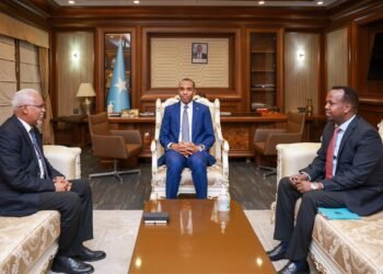 رئيس الوزراء الصومالي يرحب بالسفير الجيبوتي الجديد