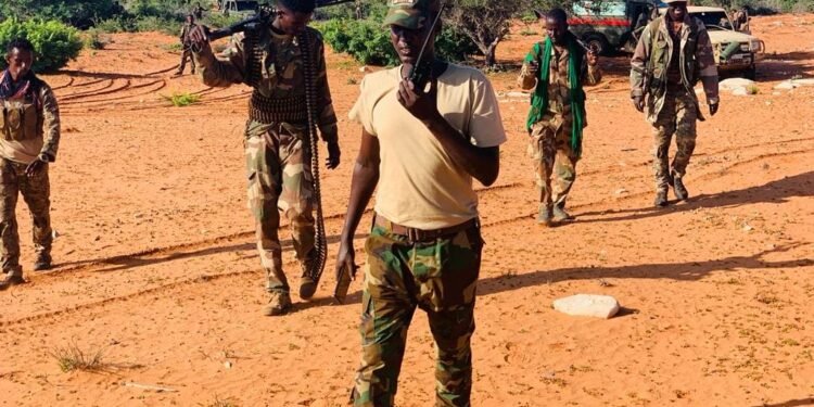 الجيش الصومالي يسيطر على مناطق جديدة في محافظة شبيلي السفلى