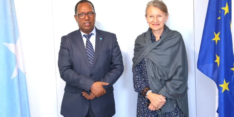 الاتحاد الأوروبي يوافق على دعم ميزانية الحكومة الفيدرالية الصومالية بقيمة 20.5 مليون يورو