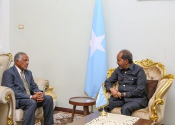 الرئيس الصومالي يدعو إلى وقف الحرب والتفاوض السلمي في السودان
