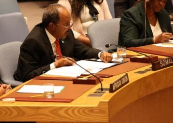 في خطابه بمجلس الأمن الدولي..الرئيس الصومالي يدعو إلى رفع حظر الأسلحة ومكافحة الإرهاب في بلاده