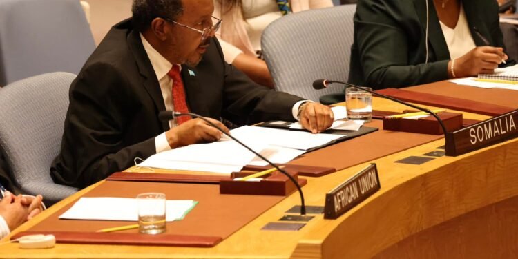 في خطابه بمجلس الأمن الدولي..الرئيس الصومالي يدعو إلى رفع حظر الأسلحة ومكافحة الإرهاب في بلاده