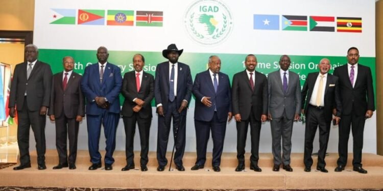 في بيان رسمي.. رؤساء دول “الإيغاد” يدعمون الصومال ويطالبون برفع حظر الأسلحة عنها