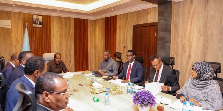 انخفاض المستوى الاقتصادي لحركة الشباب بفضل جهود مكافحة التمويل الإرهابي في الصومال