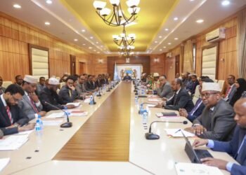 مجلس الوزراء الصومالي يوافق على قانون العمل ويشكل المجلس التنفيذي للإحصاء الوطني