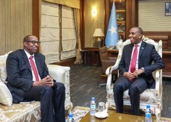 رئيس الوزراء الصومالي يستقبل مبعوث منظمة الأمم المتحدة لشؤون اللاجئين في مقديشو
