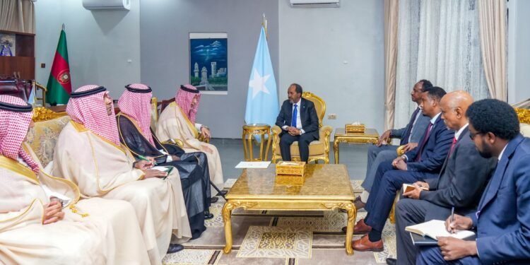 رئيس الصومال يستقبل وفدًا سعوديًا والمملكة تعرب عن دعمها للاستقرار والتنمية في البلاد