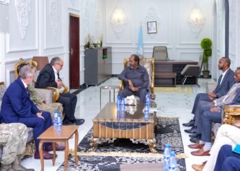 رئيس جمهورية الصومال يستقبل سفير تركيا في مدينة طوسمريب عاصمة ولاية غالمودوغ