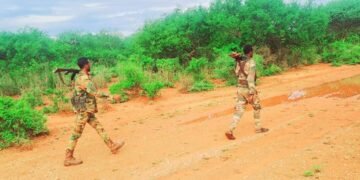 الجيش الصومالي يستعيد سيطرته على منطقة “أيل بون” في ولاية جنوب غرب الصومال