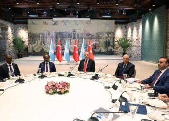 الرئيس الصومالي يلتقي نظيره التركي في إسطنبول