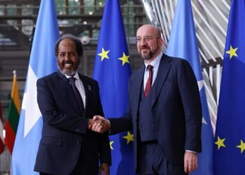 قبل انطلاق فعاليات المنتدى.. الرئيس الصومالي يجتمع مع رئيس الاتحاد الأوروبي في بروكسل