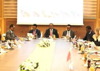 المجموعة الخماسية تبحث الأوضاع في الصومال وتؤكد على دعم استقرار البلاد