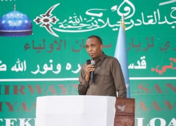 رئيس الوزراء الصومالي يصف حركة “حماس” بأنها حركة تحررية.. ويدعو لحل الدولتين