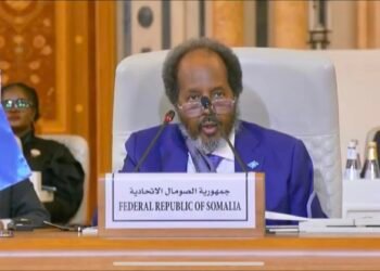 في القمة السعودية الأفريقية.. رئيس الصومال يشدد على أهمية التعاون مع المملكة العربية السعودية