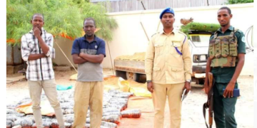 ضبط 142 كيلو غرامًا من الحشيش في ولاية جوبالاند بجنوب الصومال