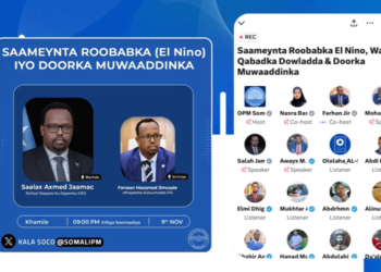 نائب رئيس الوزراء الصومالي يدعو الجاليات الصومالية في المهجر إلى مساعدة المتضررين بالفيضانات والأمطار