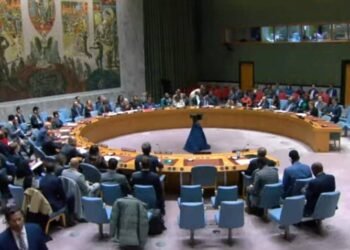 مجلس الأمن الدولي يوافق على رفع حظر الأسلحة عن الصومال بعد 30 عامًا من فرضه