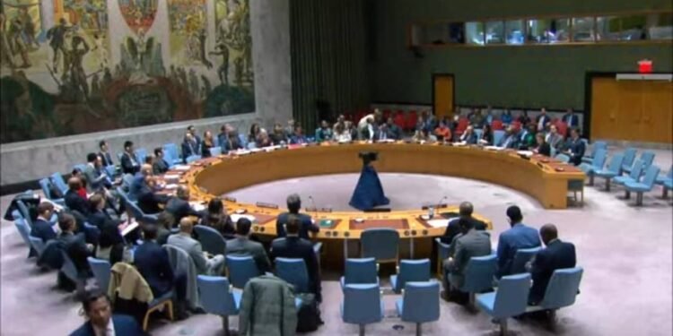مجلس الأمن الدولي يوافق على رفع حظر الأسلحة عن الصومال بعد 30 عامًا من فرضه