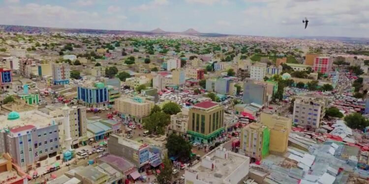 شرطة إدارة أرض الصومال تُلقي القبض على متهمين بجرائم قتل وسطو في هرجيسا