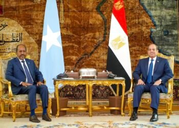 العلاقات المصرية الصومالية: مخاطر واحدة ومصالح مشتركة