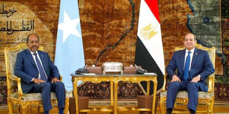 العلاقات المصرية الصومالية: مخاطر واحدة ومصالح مشتركة