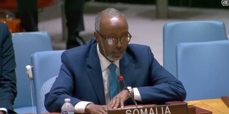 الصومال يدعو الدول المشاركة في “أتميص” لاحترام السيادة الوطنية والامتثال للقانون الدولي