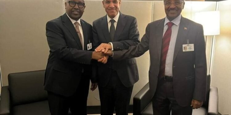لقاء ثلاثي بين الصومال ومصر وإريتريا على هامش الدورة ال79 للأمم المتحدة