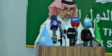 الصومال .. بعثة جامعة الدول العربية تشكل مجلساً لسفراء العرب