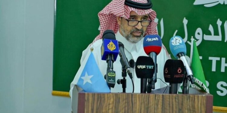 الصومال .. بعثة جامعة الدول العربية تشكل مجلساً لسفراء العرب