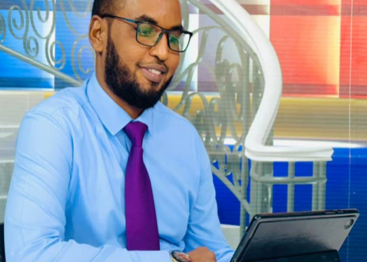 الدور المحوري لتركيا في القرن الإفريقي: الأبعاد السياسية والاقتصادية