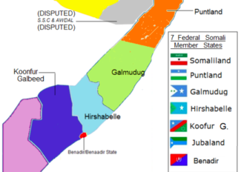 فوضى الفيدرالية تهدد سيادة الصومال: معارضة العلاقات العسكرية مع مصر نموذجًا
